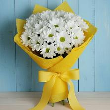Букет цветов из:  Хризантемы в Бекешевской