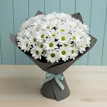 Букет цветов из:  Хризантемы #REPLACE_PRED# Бекешевской