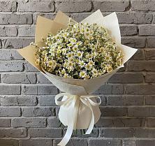 Букет цветов из:  Ромашки в Бекешевской