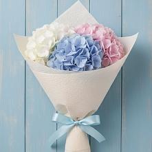 Букет цветов из:  Гортензия в Бекешевской