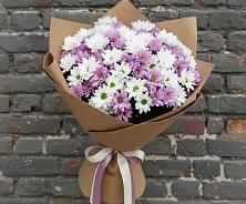 Букет цветов из:  Хризантемы в Бекешевской