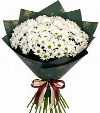 Букет цветов из:  Хризантемы #REPLACE_PRED# Бекешевской