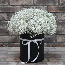 Цветочная композиция из Гипсофила в шляпной коробке в Бекешевской