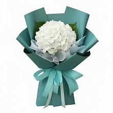 Букет цветов из:  Гортензия в Бекешевской